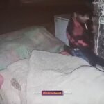 चोरी करते हुए चोर की CCTV फुटेज