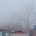 तस्वीर : हरे की वजह से 100 मीटर दूर पीपल का वृक्ष सही से नहीं दिख रहा