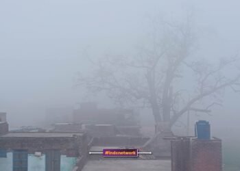 तस्वीर : हरे की वजह से 100 मीटर दूर पीपल का वृक्ष सही से नहीं दिख रहा