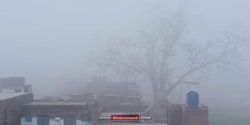 तस्वीर : हरे की वजह से 100 मीटर दूर पीपल का वृक्ष सही से नहीं दिख रहा